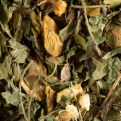 Dammann - Tisane Magic Ginger