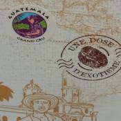 GUATEMALA - Dosettes ESE